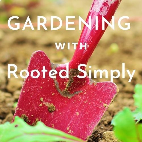 Simply Gardening:                    Favorite YouTube Gardeners