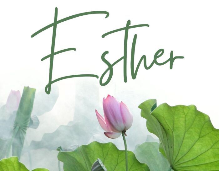 Week One Esther 1 & 2