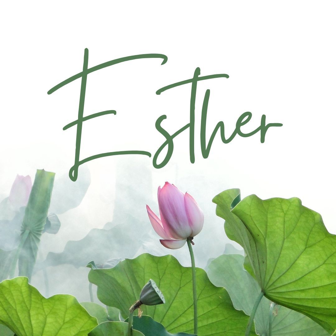 Week 3 Esther Chapters 5 and 6