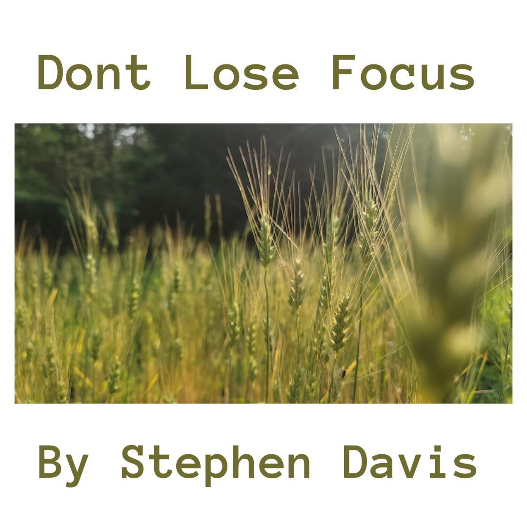 Don’t Lose Focus
