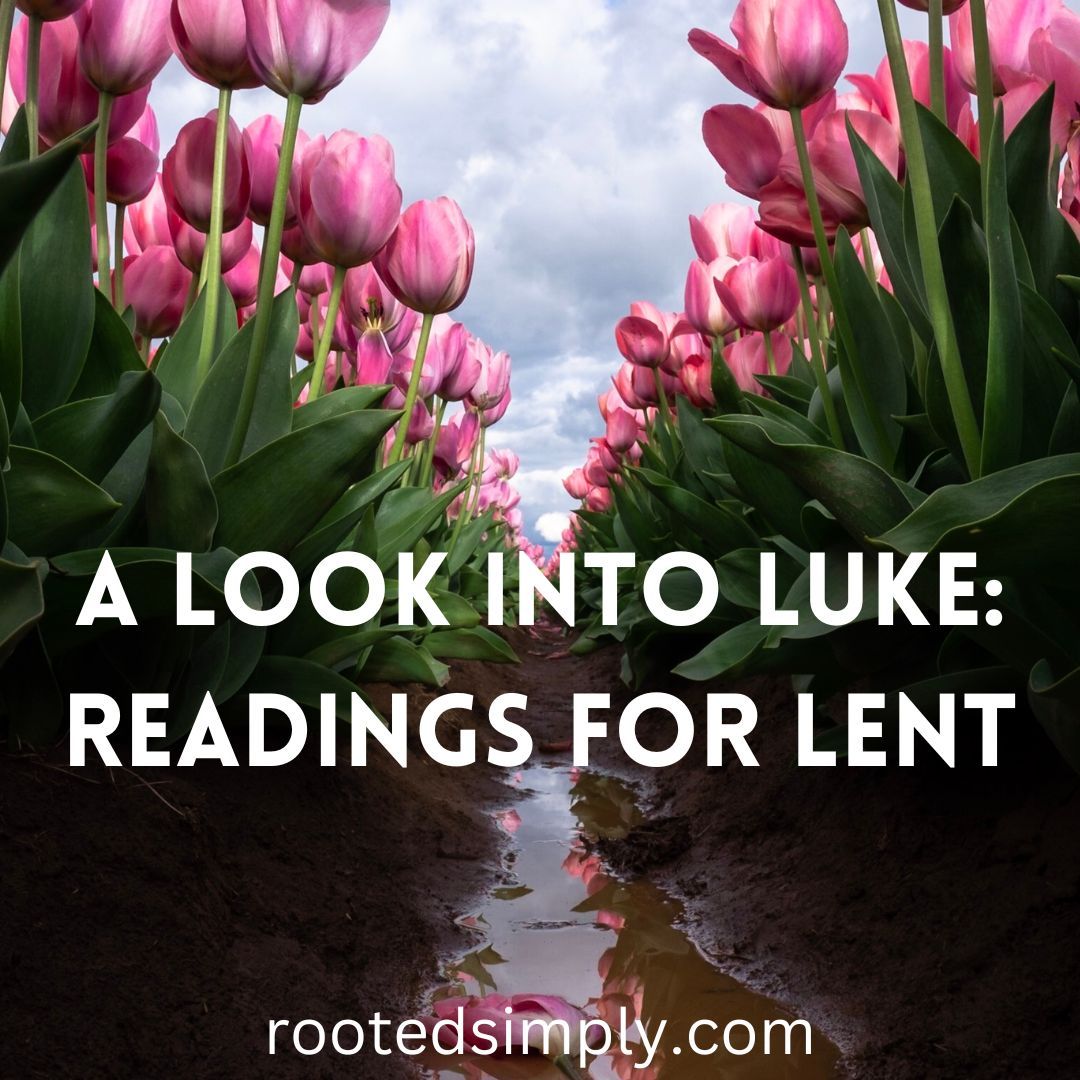 A Look Into Luke: Readings For Lent
