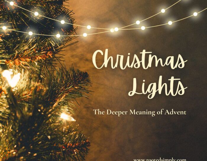 Christmas Lights: Light of Love