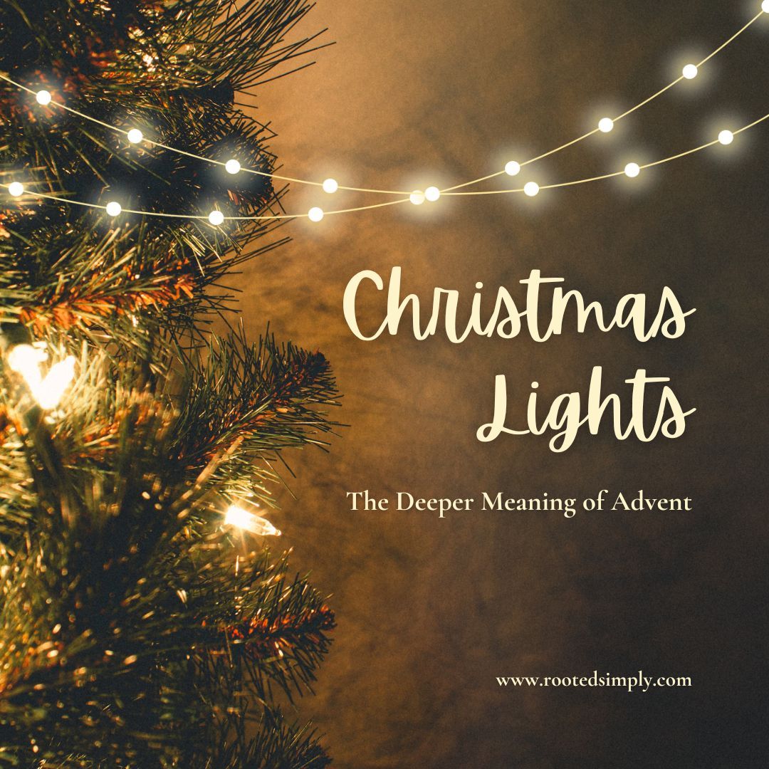 Christmas Lights: Light of Joy