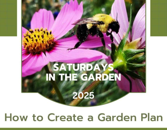 How to Create a Garden Plan