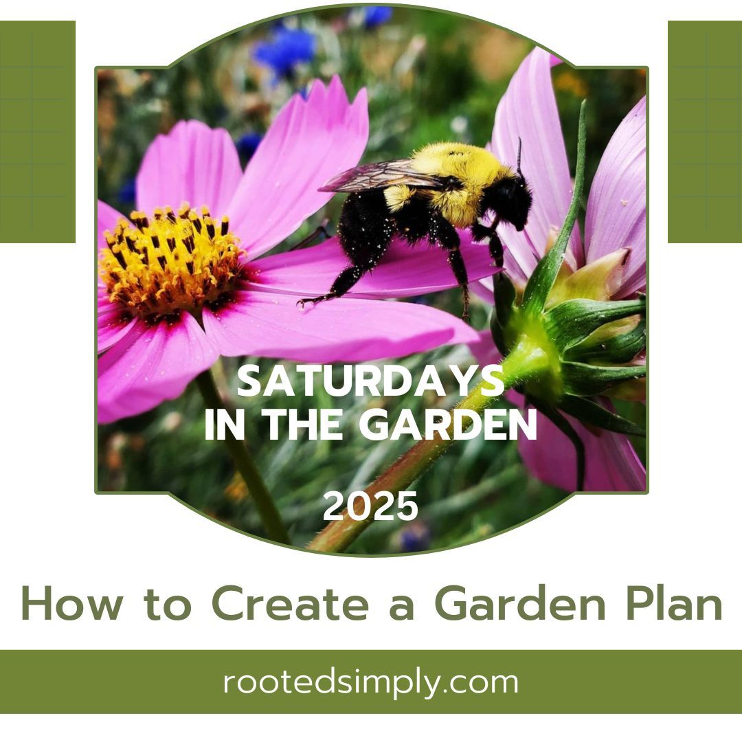 How to Create a Garden Plan