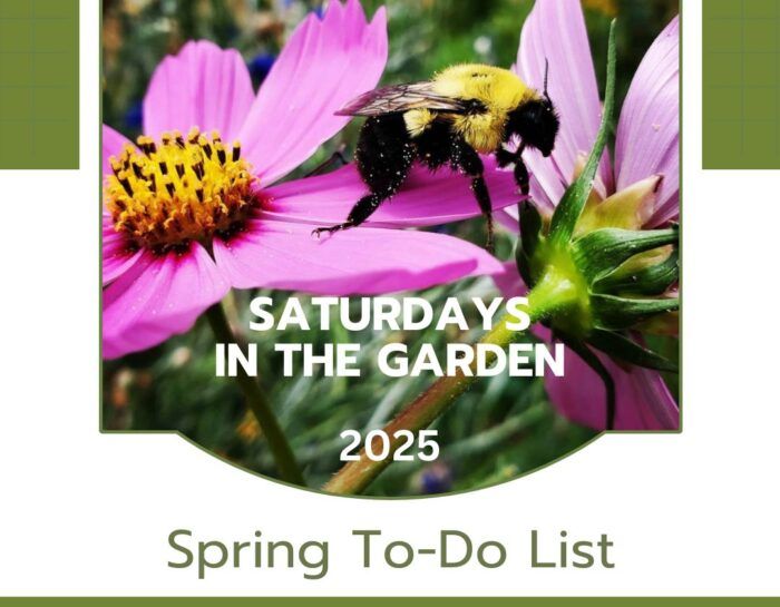 Saturdays in the Garden: Spring To Do List