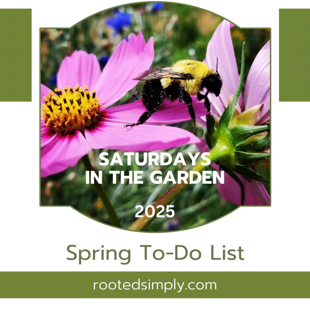 Saturdays in the Garden: Spring To Do List