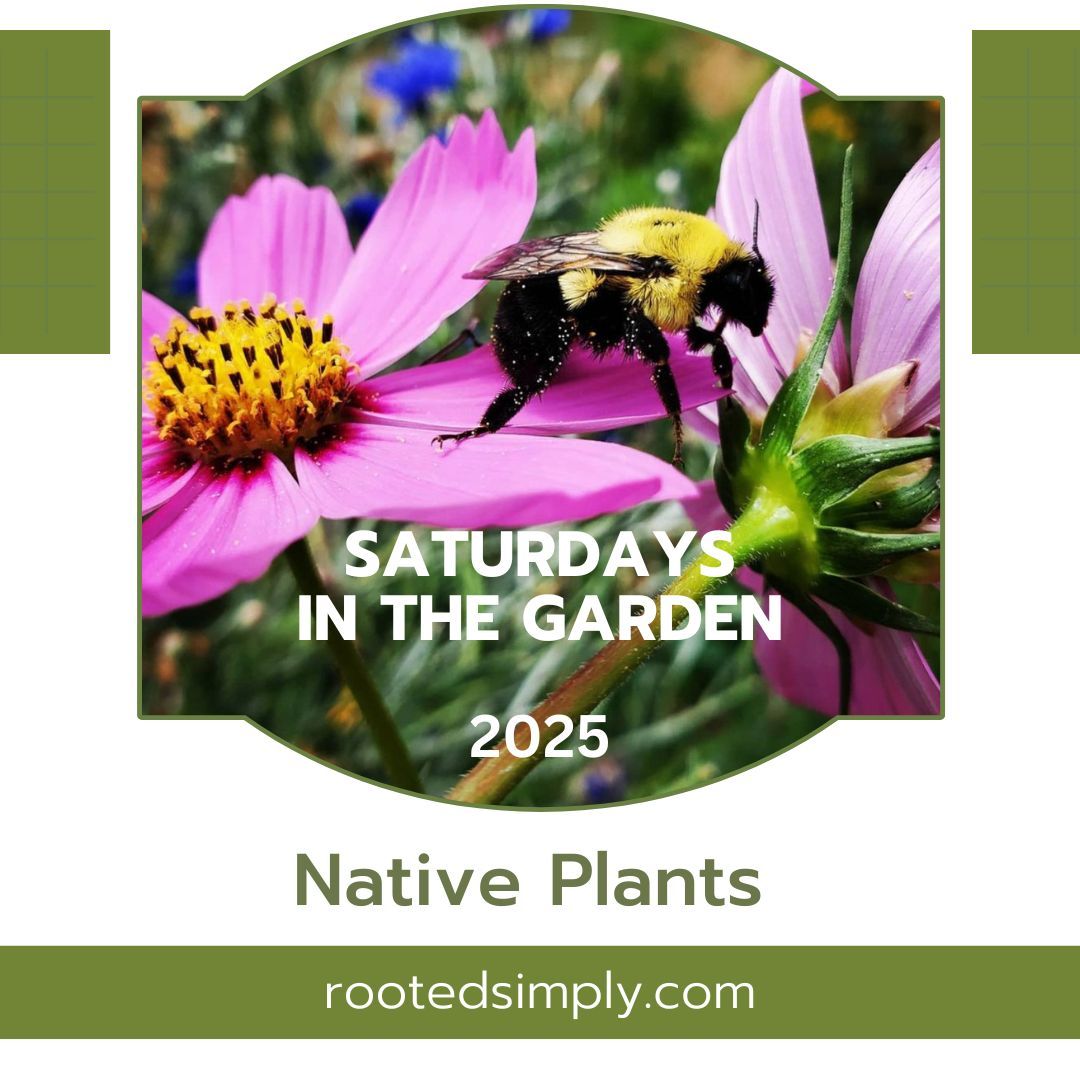 Cultivating Sustainability: Benefits of Using Native Plants in Your Garden