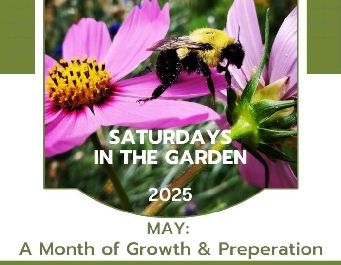 MAY: A Month of Growth & Preparation