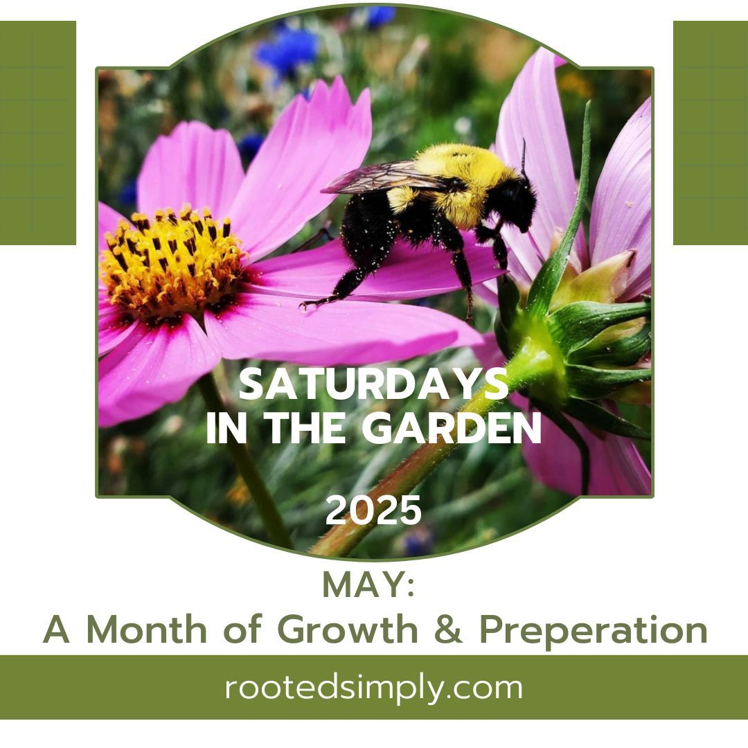 MAY: A Month of Growth & Preparation